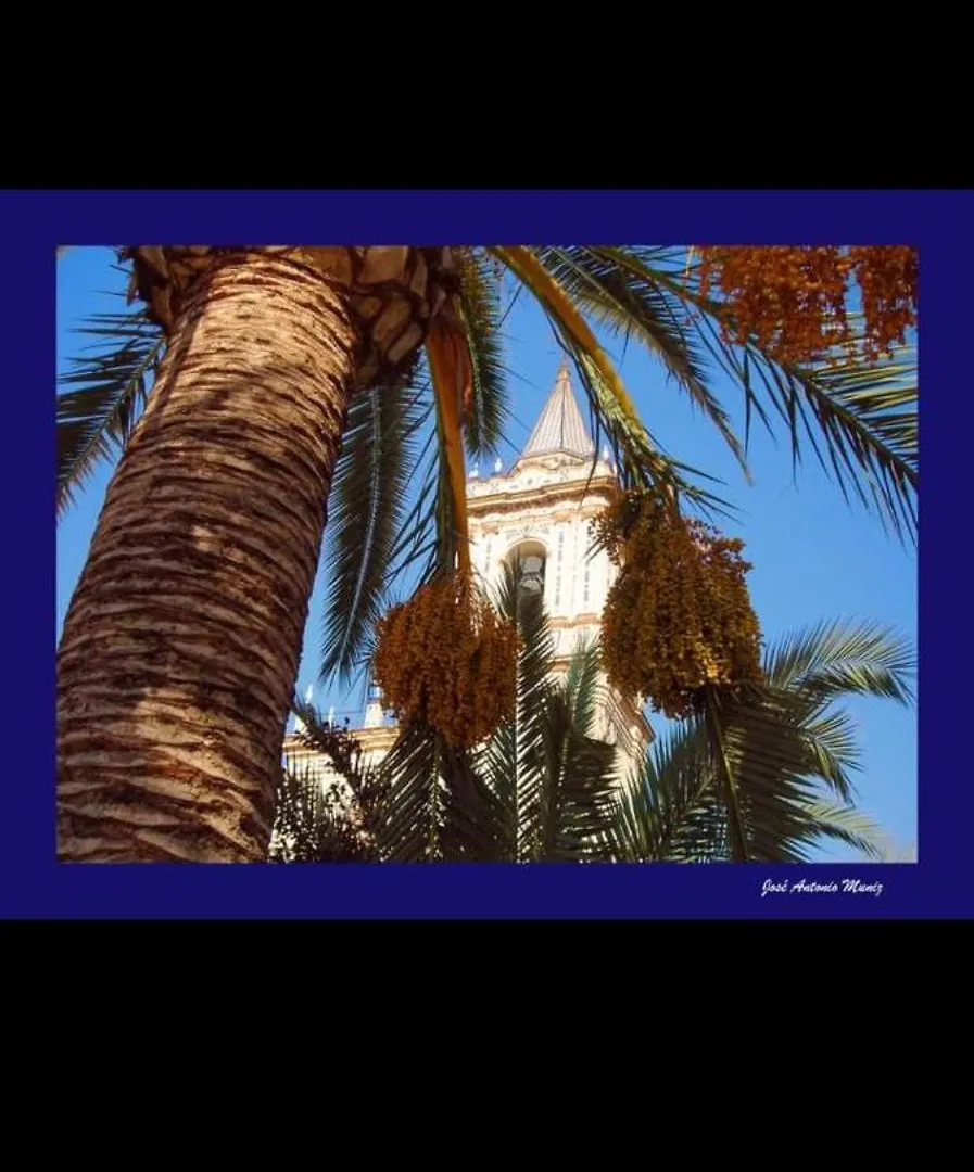 Apartamento Castillo Del Guadiana Ayamonte